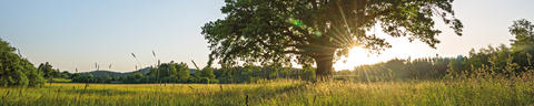 brand-values-header-3840x768px-5to1