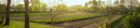 digital-header-3840x768px-5to1