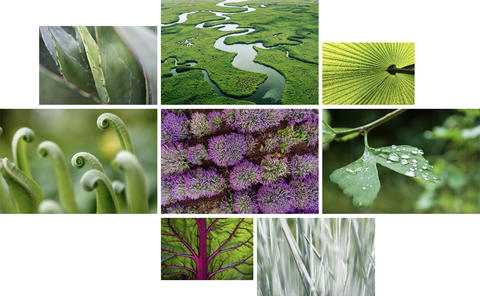 visual-language-nature-abstract-1920px